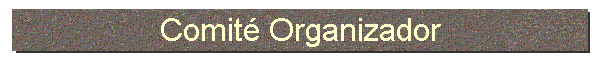 Comit� Organizador