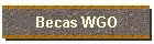 Becas WGO
