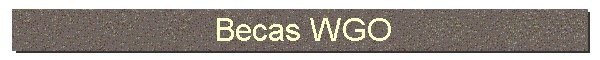 Becas WGO & JICA