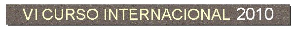 VI CURSO INTERNACIONAL 2009