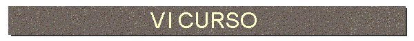 VI CURSO